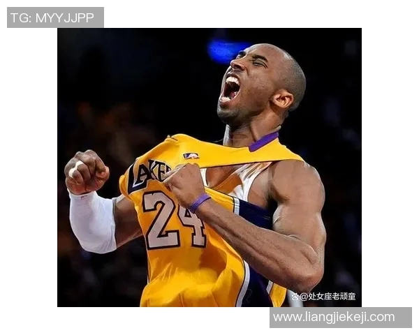 篮球明星wmy的成长之路与辉煌成就揭秘，如何成为球场上的传奇人物